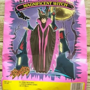 Adult Magnificent Witch Costume